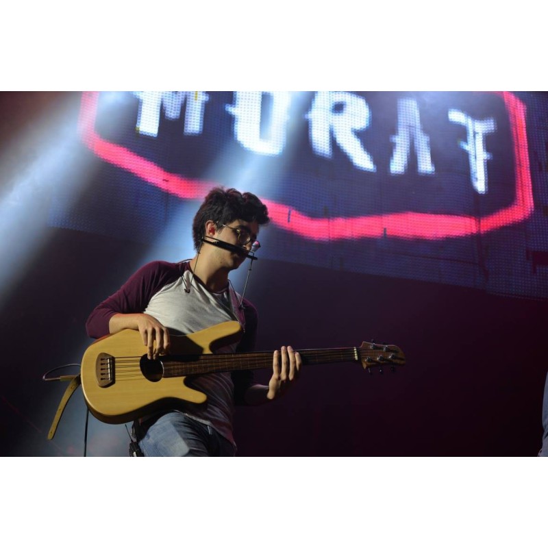 Conciertos y Festivales