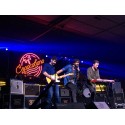 Conciertos y Festivales