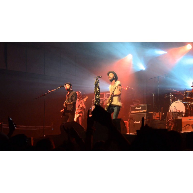 Conciertos y Festivales