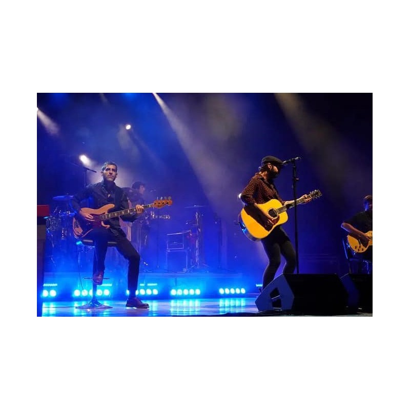 Conciertos y Festivales