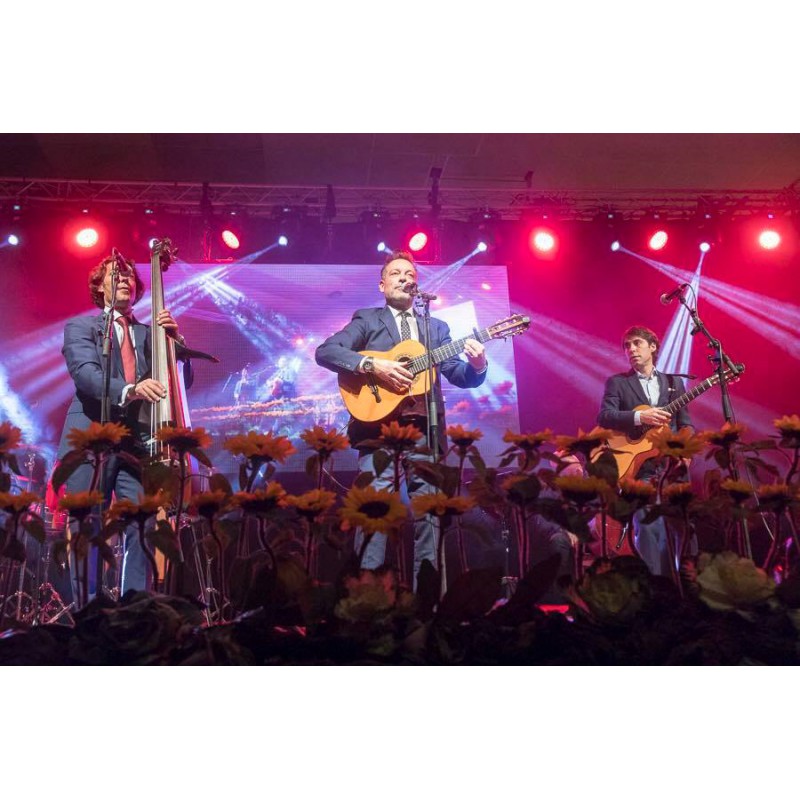 Conciertos y Festivales